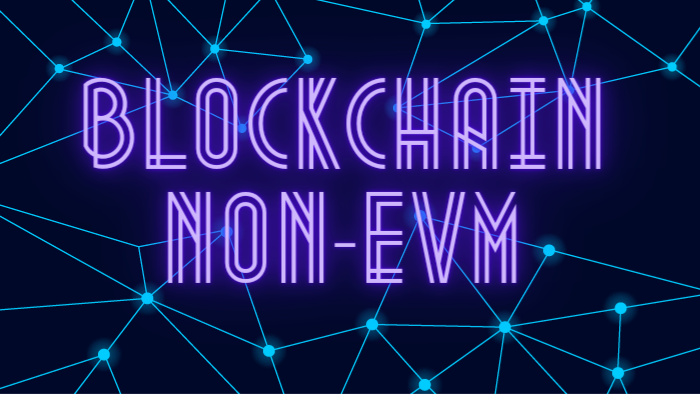 Non-EVM Blockchain là gì? Chi tiết nhất về Non-EVM Blockchain